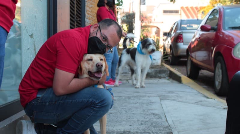 Adopción responsable Perrotón